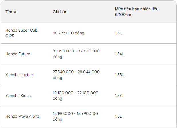 Giá xăng tăng cao ngất: 5 mẫu xe máy này được Cục Đăng kiểm xác nhận tiết kiệm xăng nhất Việt Nam - Ảnh 7