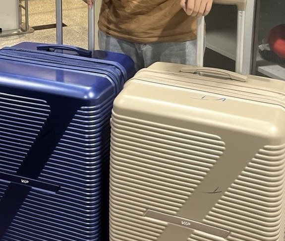 Giấu tôm hùm giống trong vali để đưa từ Singapore về Đà Nẵng - Ảnh 1