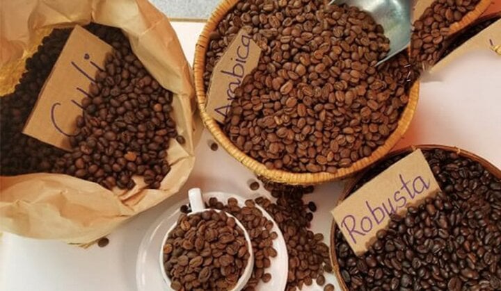 Vì sao giá cà phê tăng điên cuồng, cao nhất lịch sử? - Ảnh 1