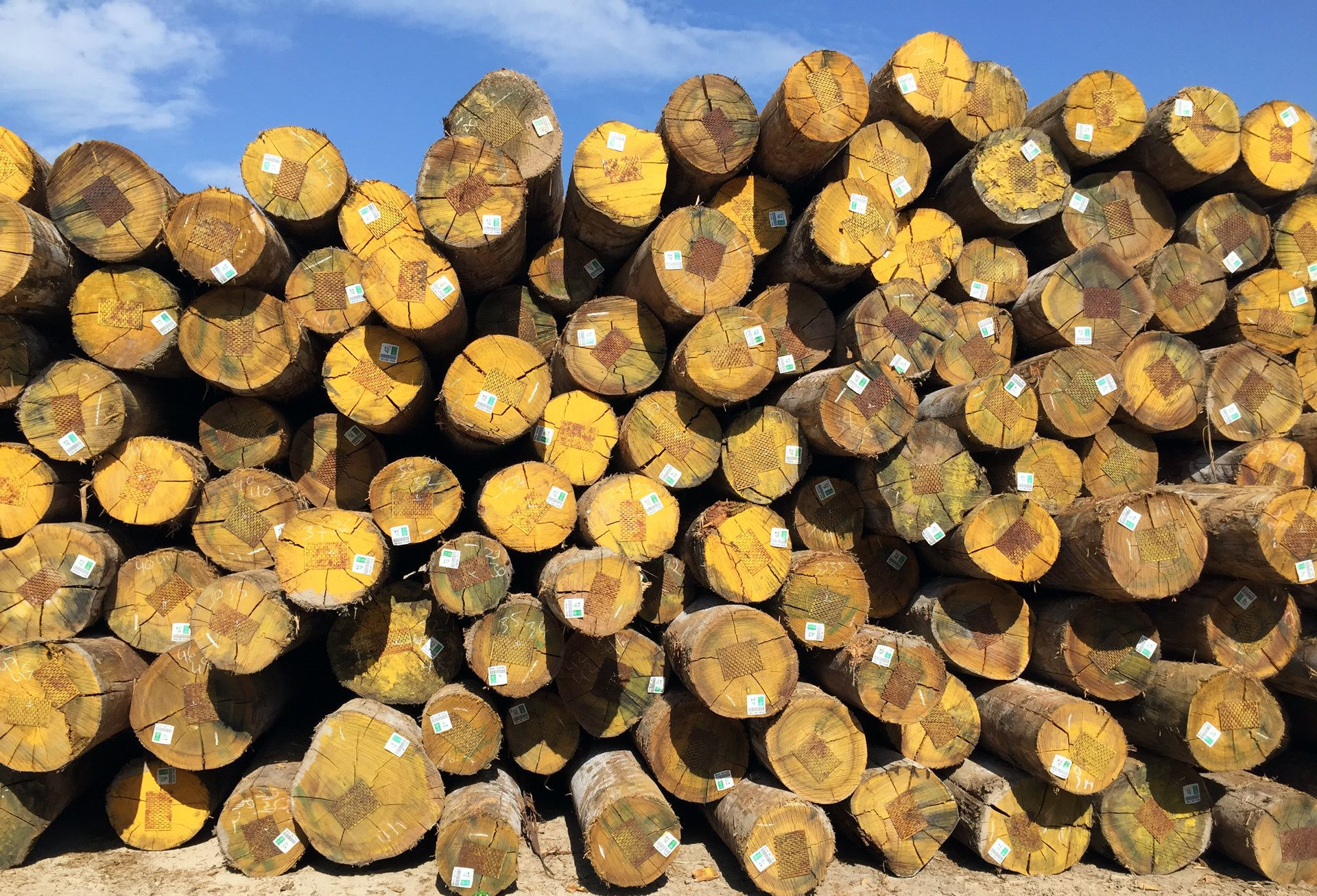 Mặt hàng xuất khẩu chủ lực top 6 của Việt Nam được Ấn Độ liên tục đổ tiền mua: Mỹ, Trung Quốc đều ưa chuộng, bỏ túi hơn 2 tỷ USD trong 2 tháng - Ảnh 1