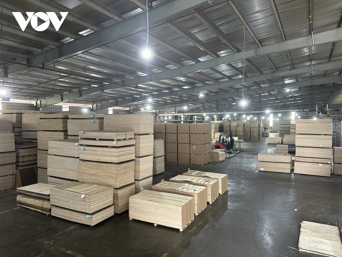 Hàng loạt doanh nghiệp xuất khẩu gỗ dán nguy cơ đóng cửa - Ảnh 1