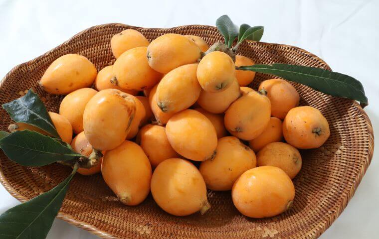 Loại quả dại mọc ven đường Nhật Bản, về Việt Nam thành "của hiếm", vợ Quang Hải mua nửa triệu/kg - Ảnh 4