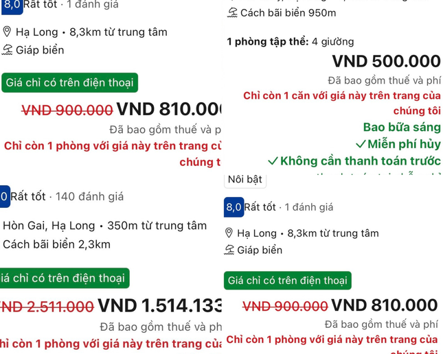 Chưa nghỉ lễ đã 'cháy' tour du thuyền vịnh Hạ Long - Ảnh 3