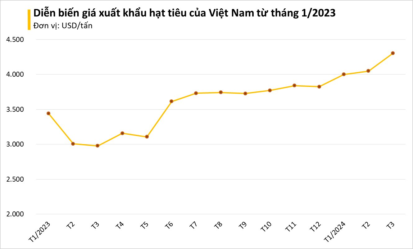 Hàn Quốc bất ngờ săn lùng hàng nghìn tấn 'vàng trên cây' của Việt Nam: tăng nhập khẩu hơn 300%, giá trong nước liên tục leo thang - Ảnh 1