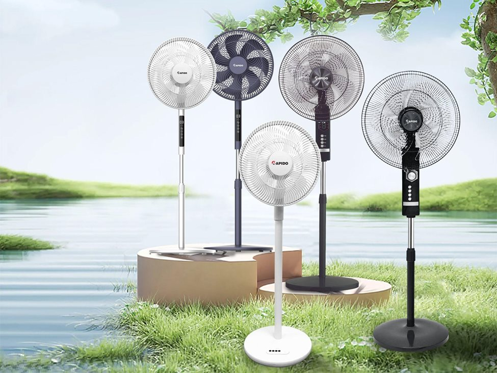 Loạt sản phẩm Rapido nào đang khiến các bà nội trợ Việt mê mẩn? - Ảnh 2