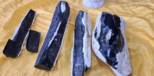 Loại gỗ triệu cây mới có một ở Việt Nam: Đại gia Nhật, Trung dốc cả hầu bao không mua nổi vì quá hiếm - Ảnh 3