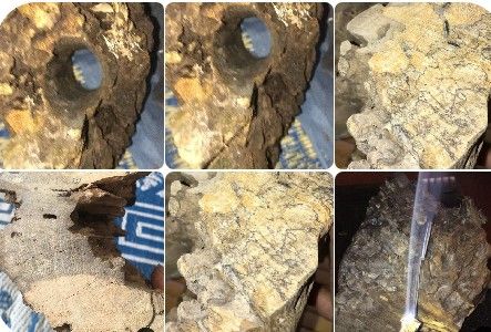 Loại gỗ triệu cây mới có một ở Việt Nam: Đại gia Nhật, Trung dốc cả hầu bao không mua nổi vì quá hiếm - Ảnh 4