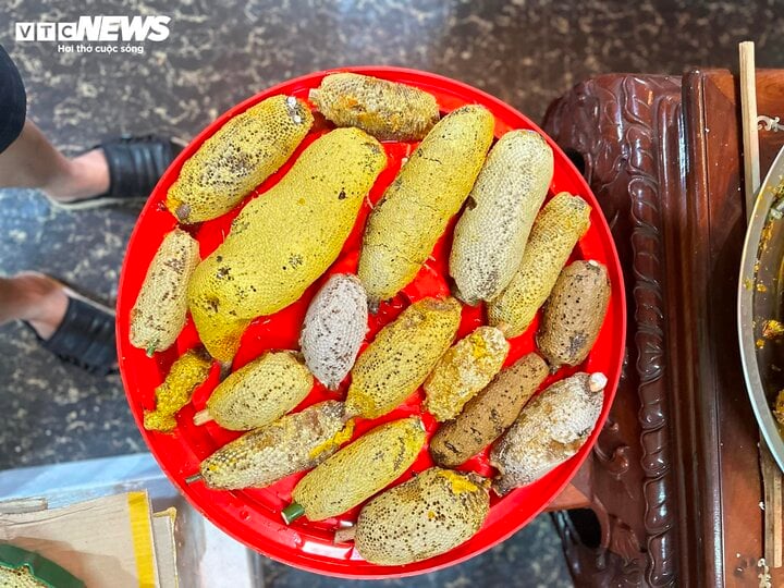 Mật ong ruồi tí hon giá tiền triệu/lít có gì độc lạ? - Ảnh 3