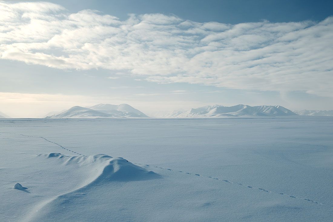 Thế giới thì đang "khát" vàng còn tại mỏ vàng khổng lồ này, người thường chẳng ai dám lấy: Vì sao vậy? - Ảnh 2