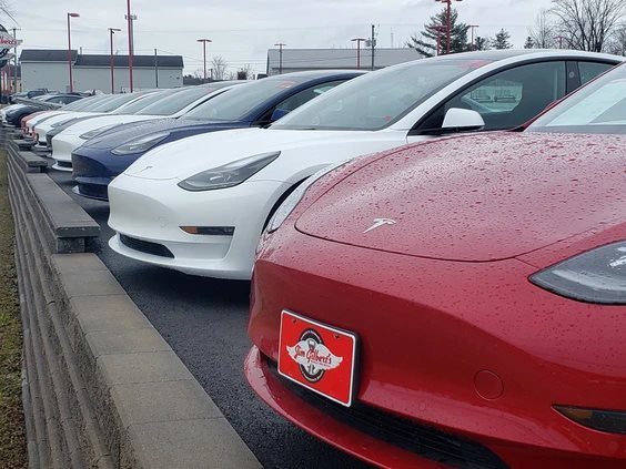 Tốc độ phủ sóng xe điện chậm lại, thị trường 'sát vách' Mỹ gặp khó - Ảnh 2