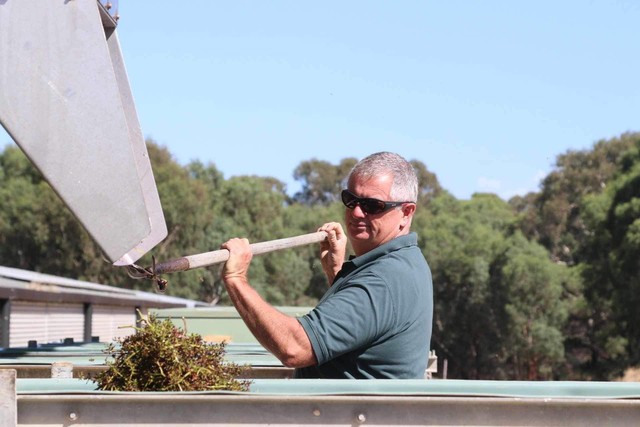 Mùa hương ở nông trại Nam Úc - Ảnh 1