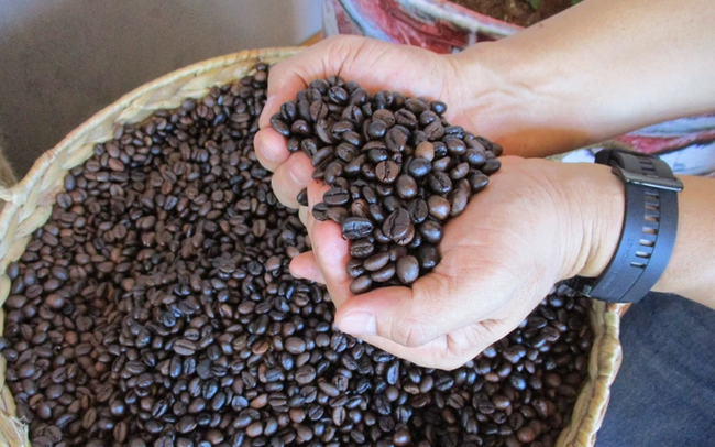 Giá cà phê lập kỷ lục mới - Ảnh 1