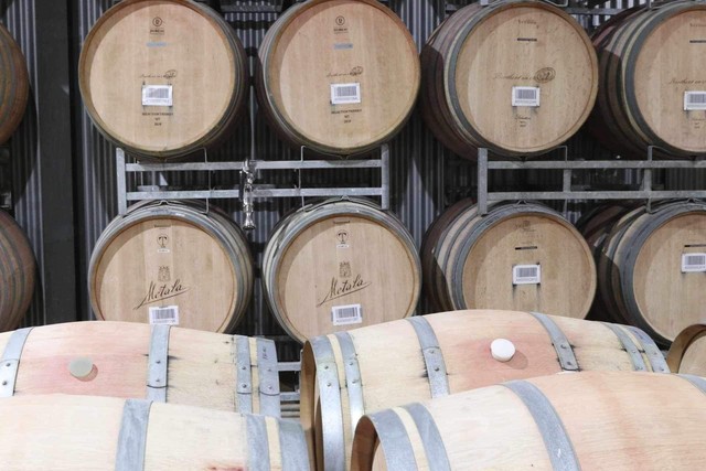 Mùa hương ở nông trại Nam Úc - Ảnh 5