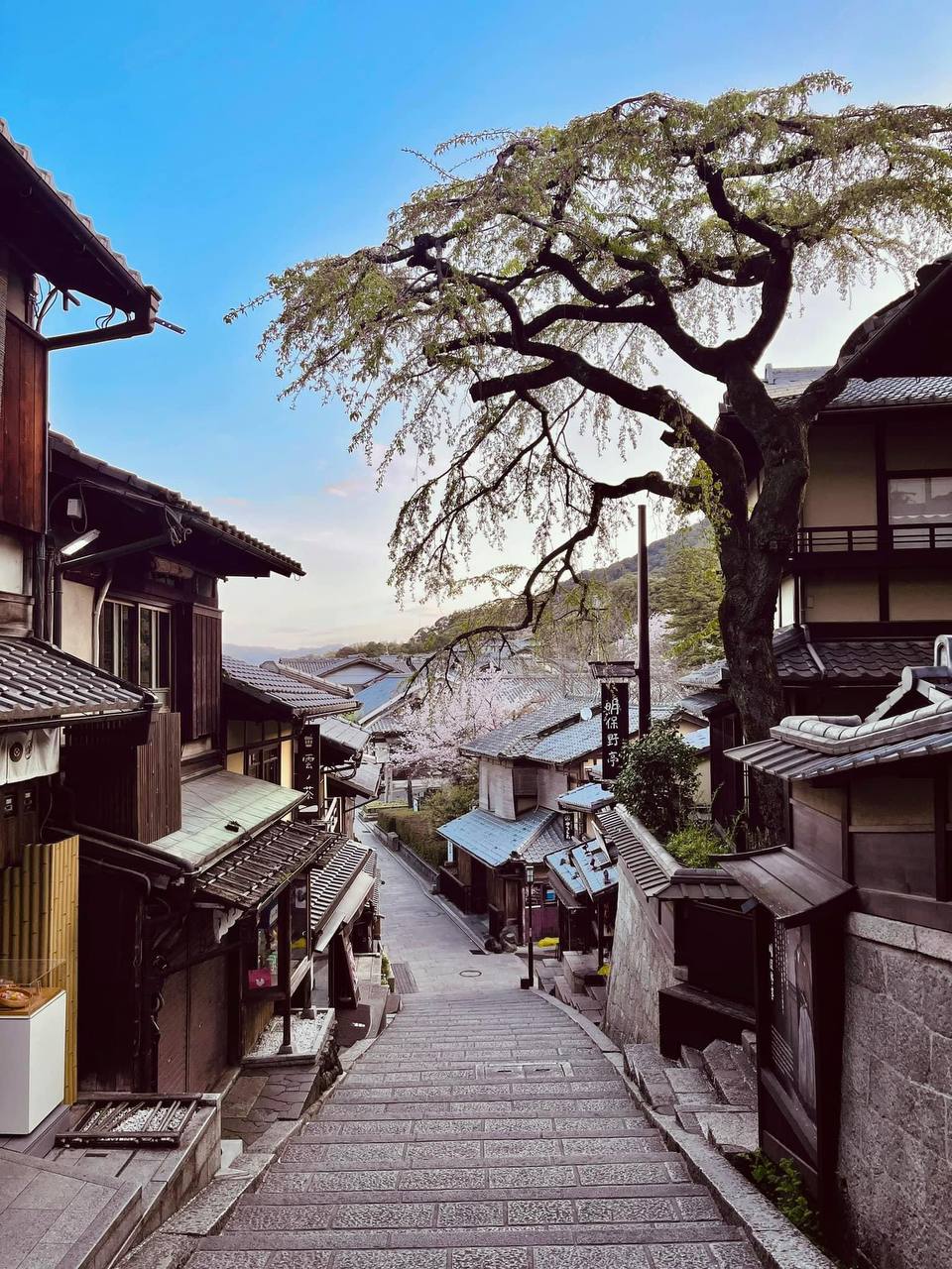 Sốc vì vé máy bay sang Châu Âu không đắt hơn chặng nội địa là bao, đi Úc cũng chỉ có 6 triệu khứ hồi - Ảnh 1