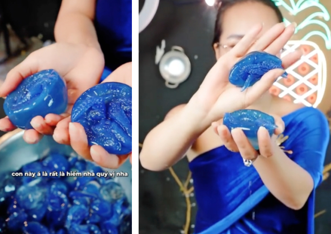 Con nuốc là con gì mà hôm nay lại xôn xao khắp MXH: Giá lên tới 200k/kg, từ món ăn độc lạ trở thành "cơn sốt" ẩm thực - Ảnh 1