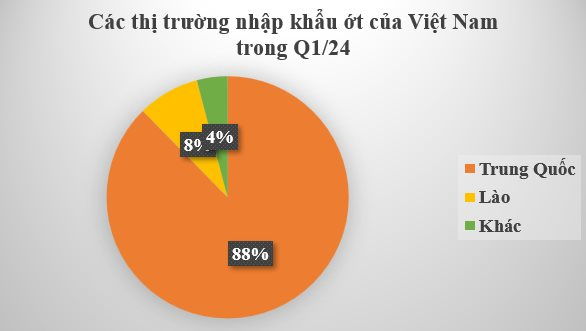 Không chỉ sầu riêng, Trung Quốc, Lào cũng đang tranh giành loại 'vàng trên cây' này của Việt Nam: Thu hơn 8 triệu USD trong 3 tháng đầu năm, có bao nhiêu mua bấy nhiêu - Ảnh 2