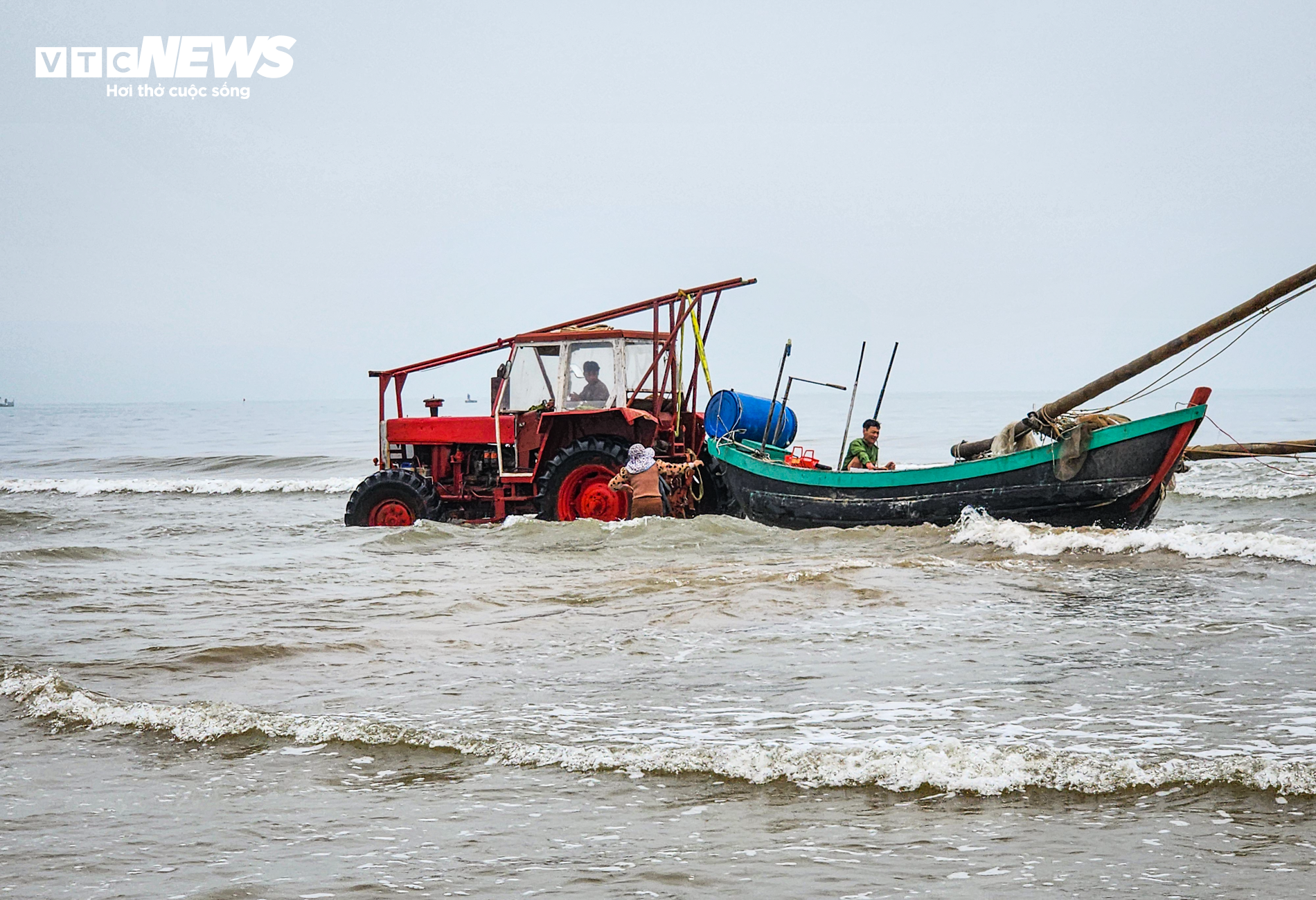 Săn 'vàng trắng' trên biển, ngư dân Hà Tĩnh kiếm tiền triệu mỗi ngày - Ảnh 1