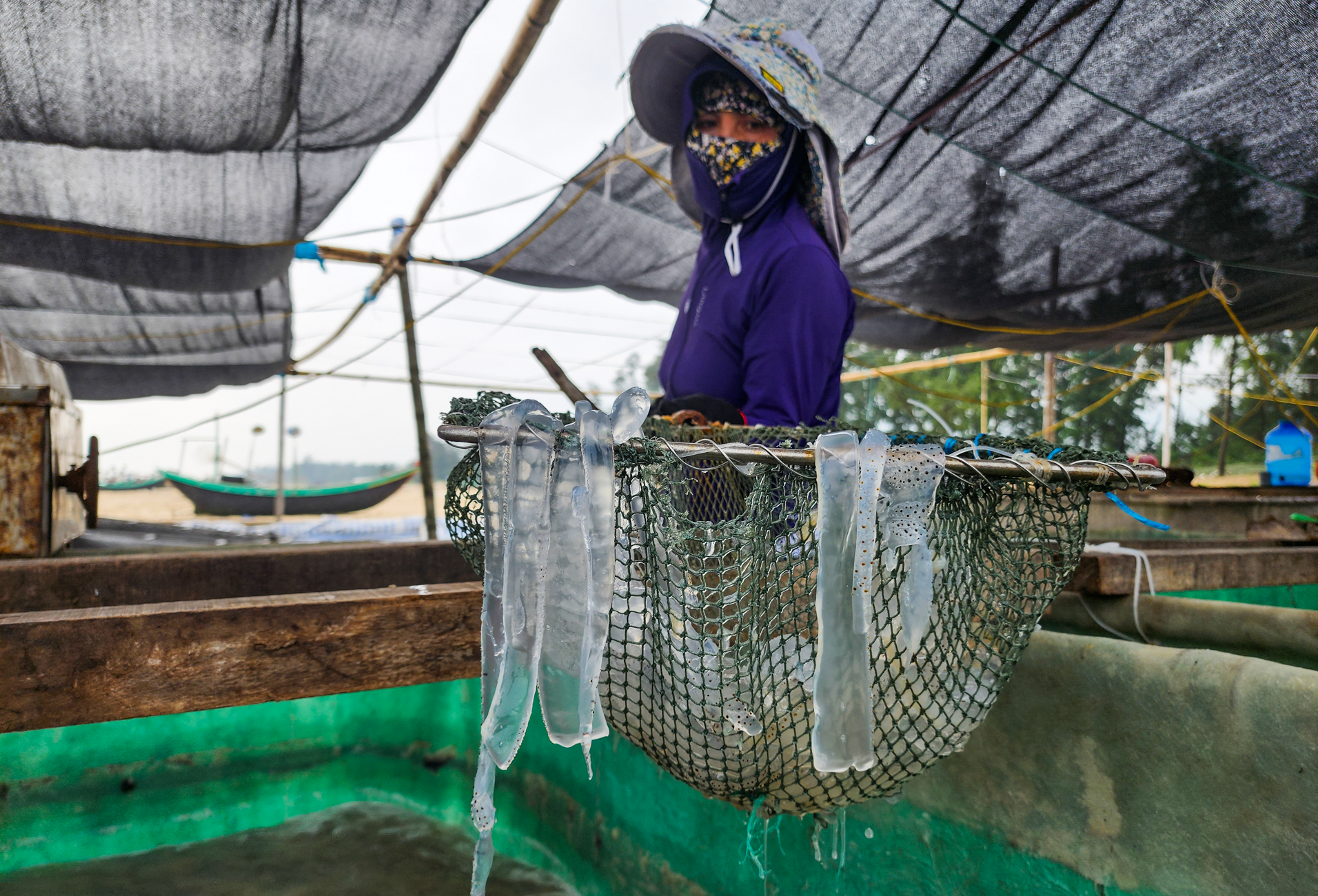 Săn 'vàng trắng' trên biển, ngư dân Hà Tĩnh kiếm tiền triệu mỗi ngày - Ảnh 12