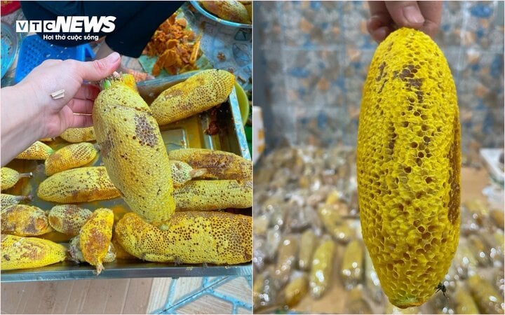 Mật ong ruồi tí hon giá tiền triệu/lít có gì độc lạ? - Ảnh 1