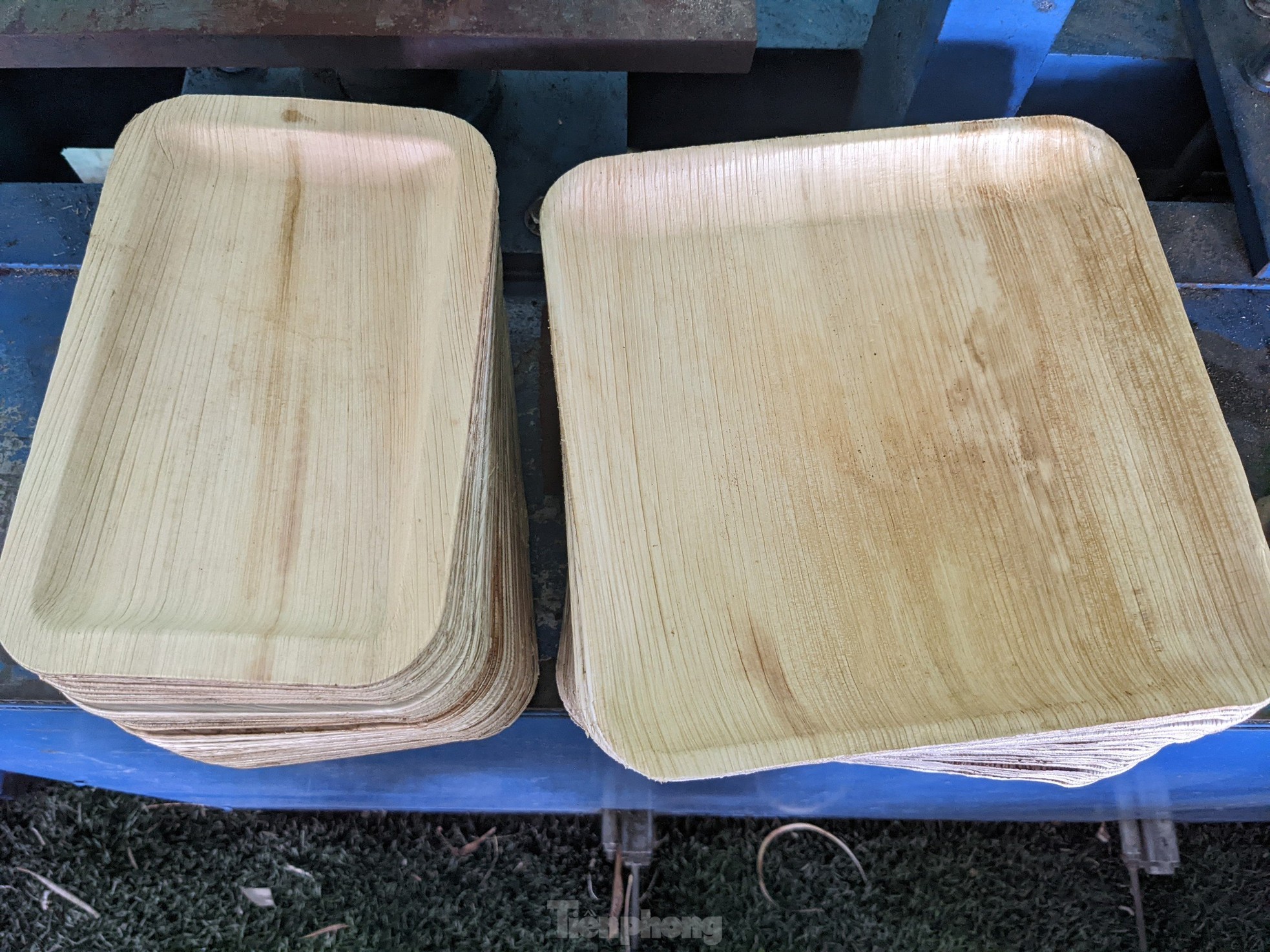 Biến phế phẩm mo cau thành hàng xuất khẩu - Ảnh 15