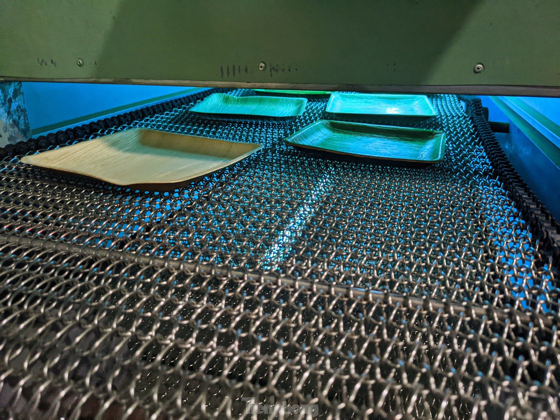 Biến phế phẩm mo cau thành hàng xuất khẩu - Ảnh 10