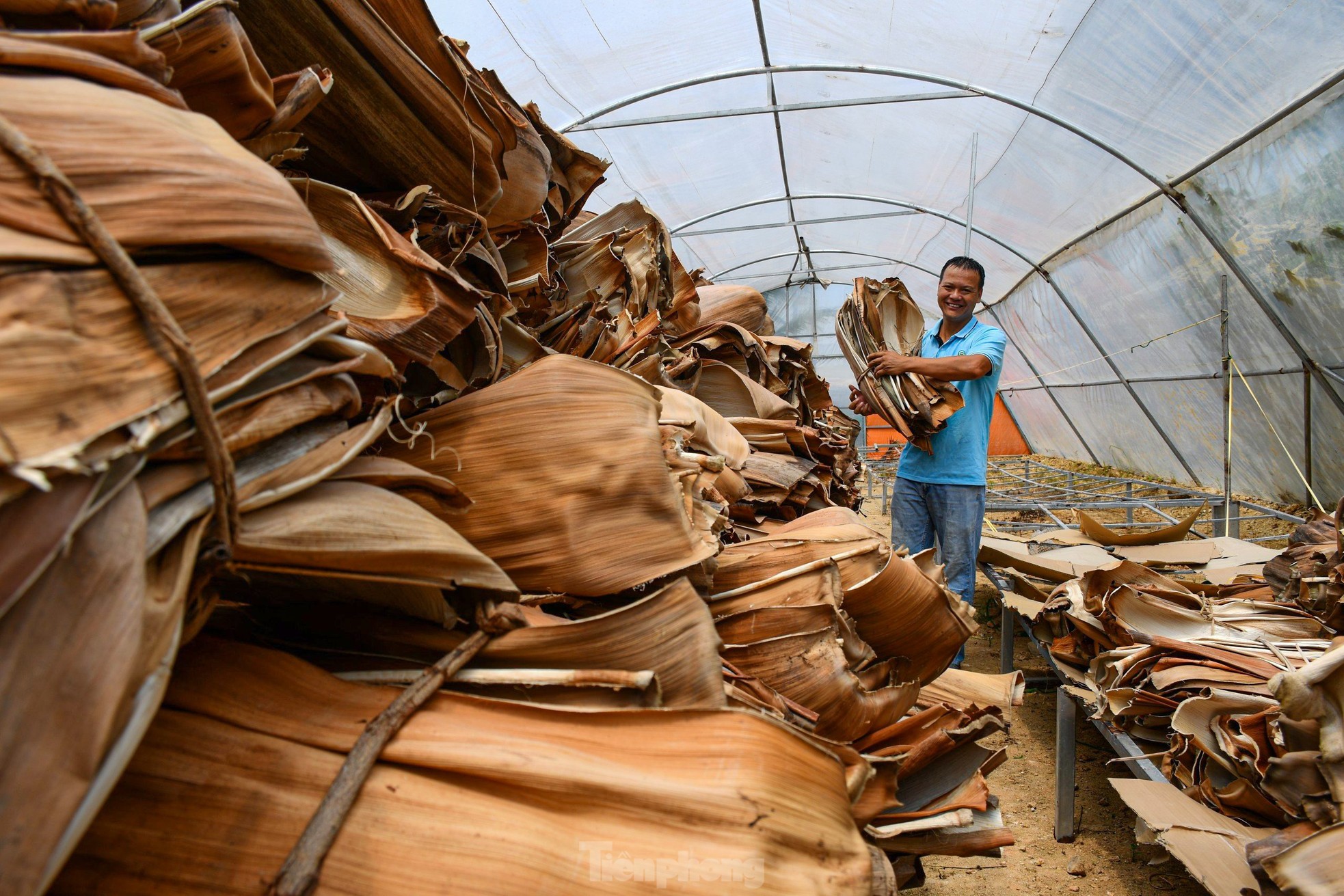 Biến phế phẩm mo cau thành hàng xuất khẩu - Ảnh 5
