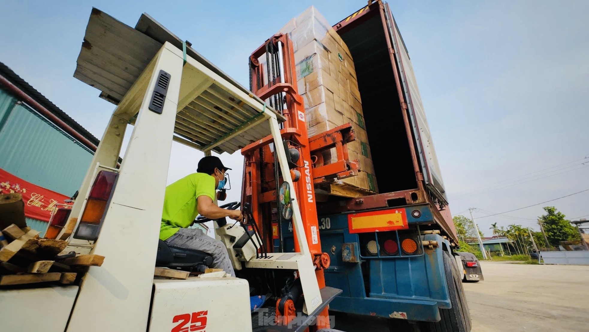 Biến phế phẩm mo cau thành hàng xuất khẩu - Ảnh 26