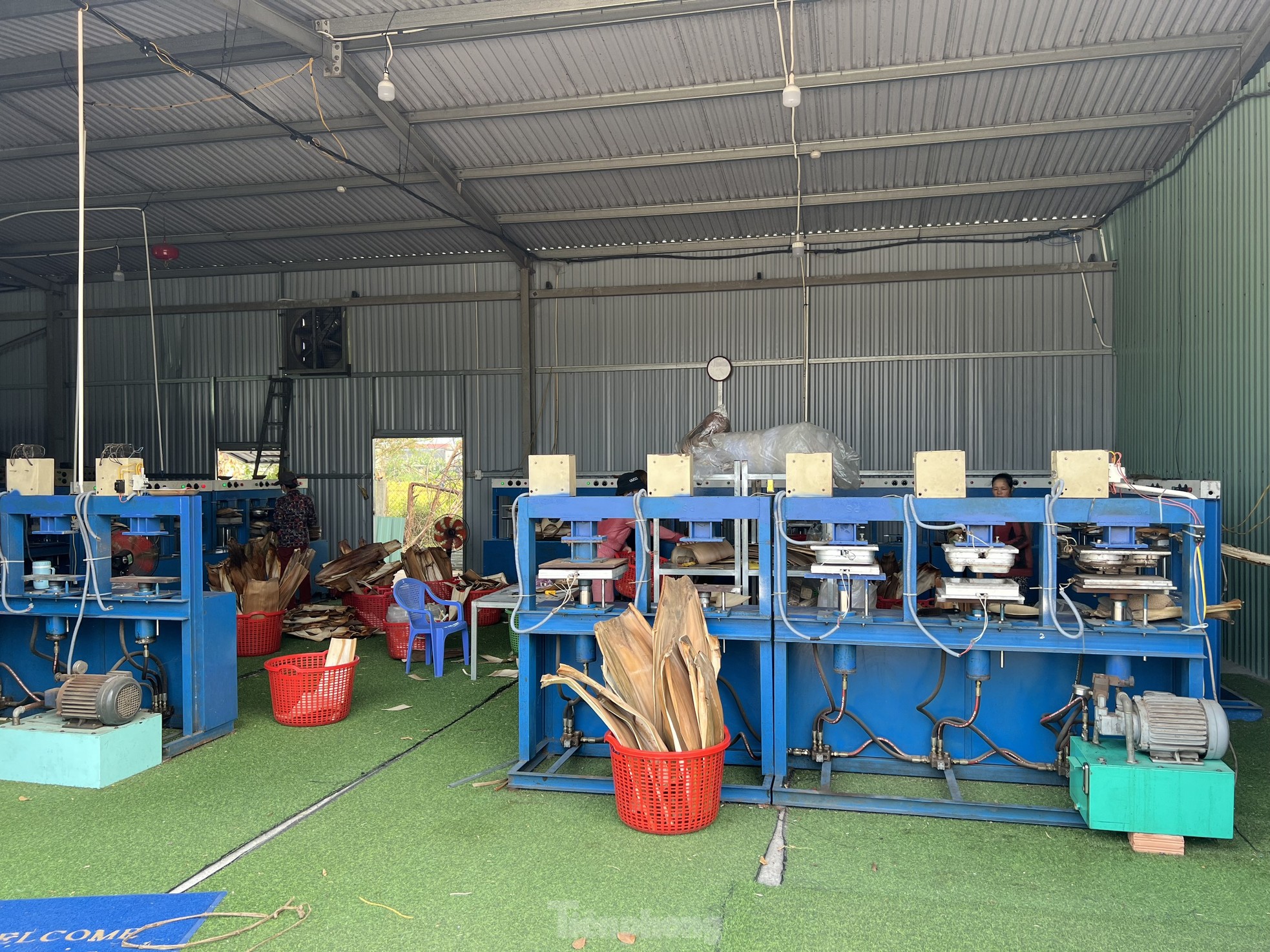 Biến phế phẩm mo cau thành hàng xuất khẩu - Ảnh 2