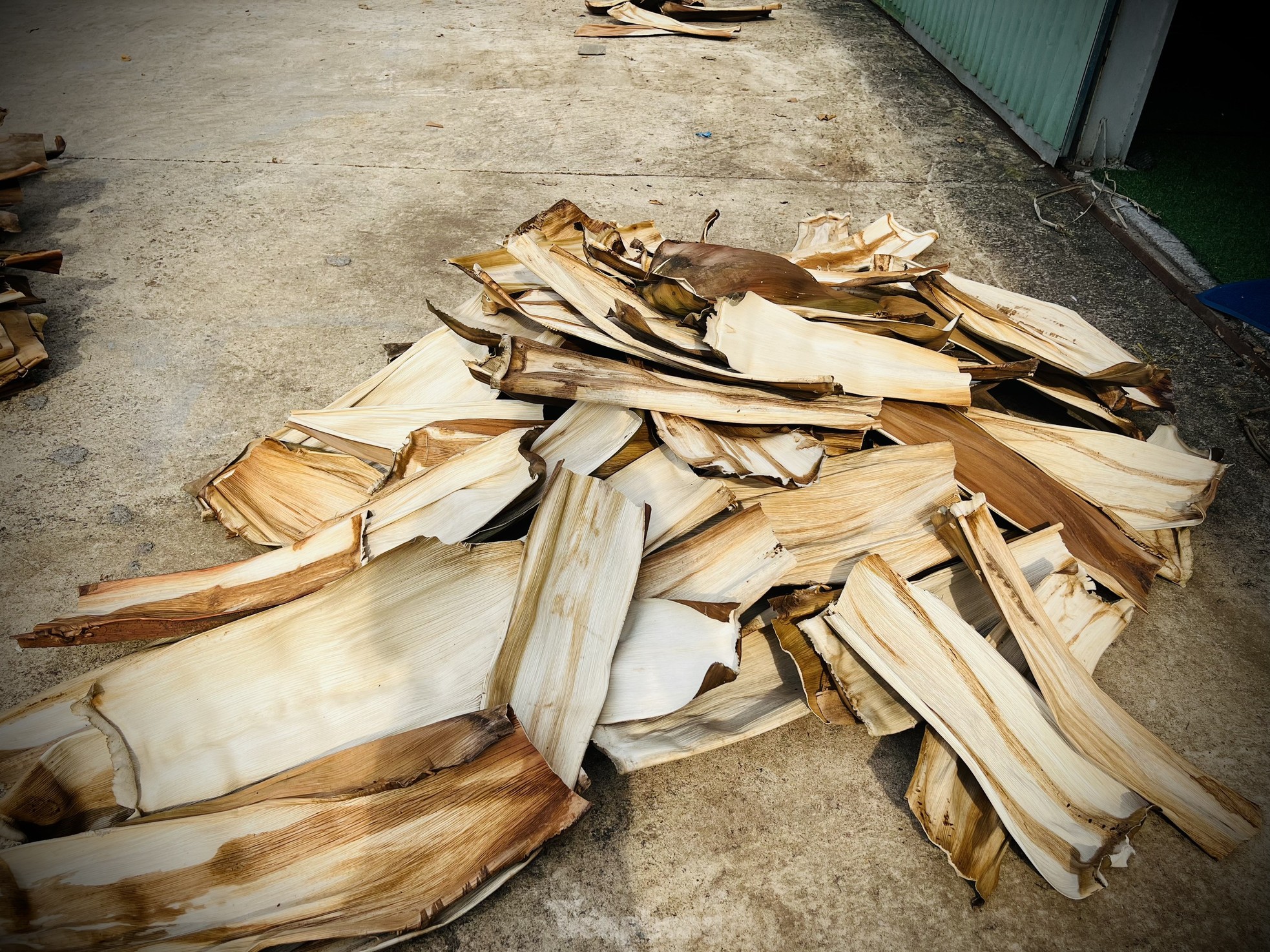 Biến phế phẩm mo cau thành hàng xuất khẩu - Ảnh 3