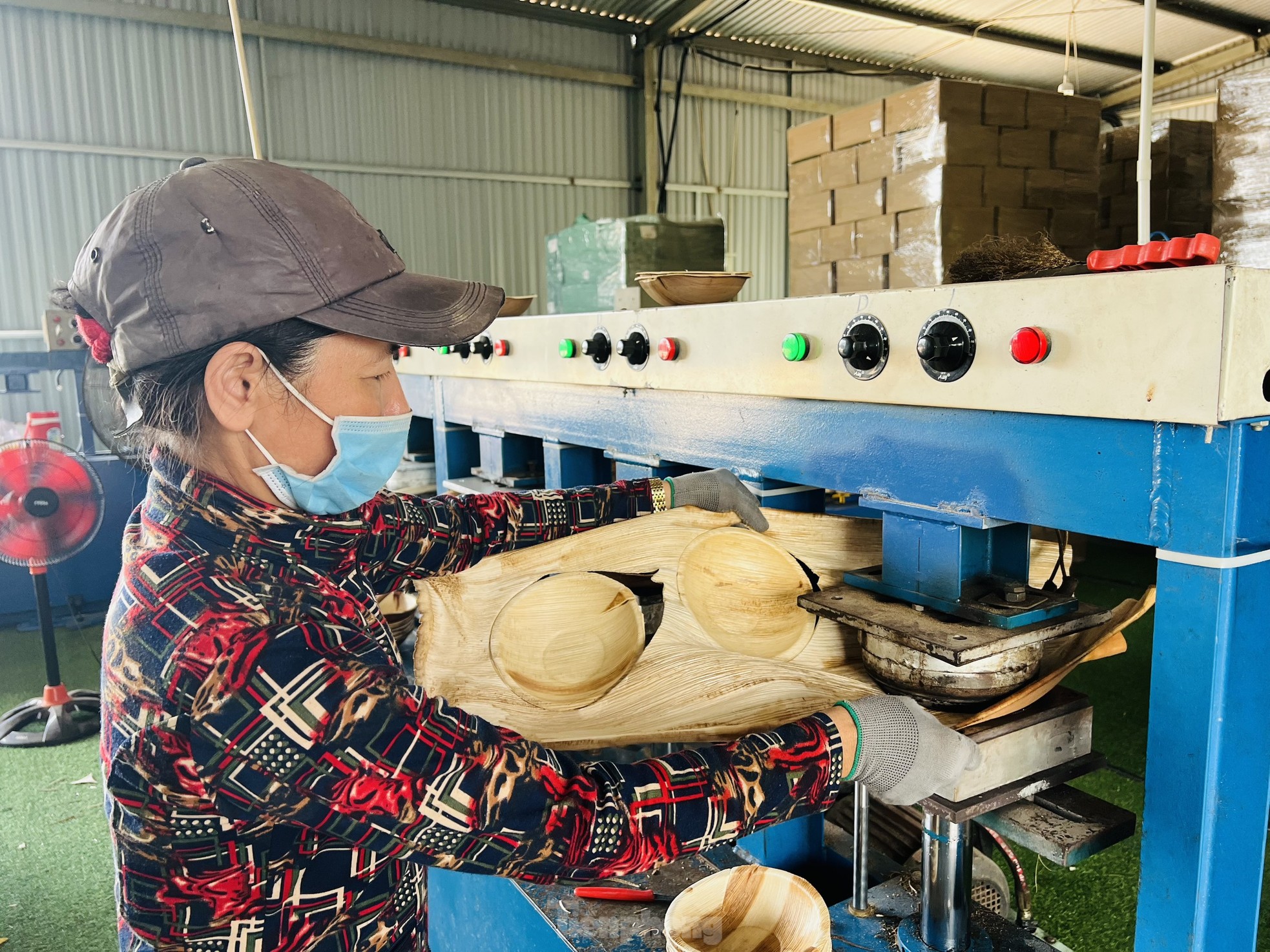 Biến phế phẩm mo cau thành hàng xuất khẩu - Ảnh 18