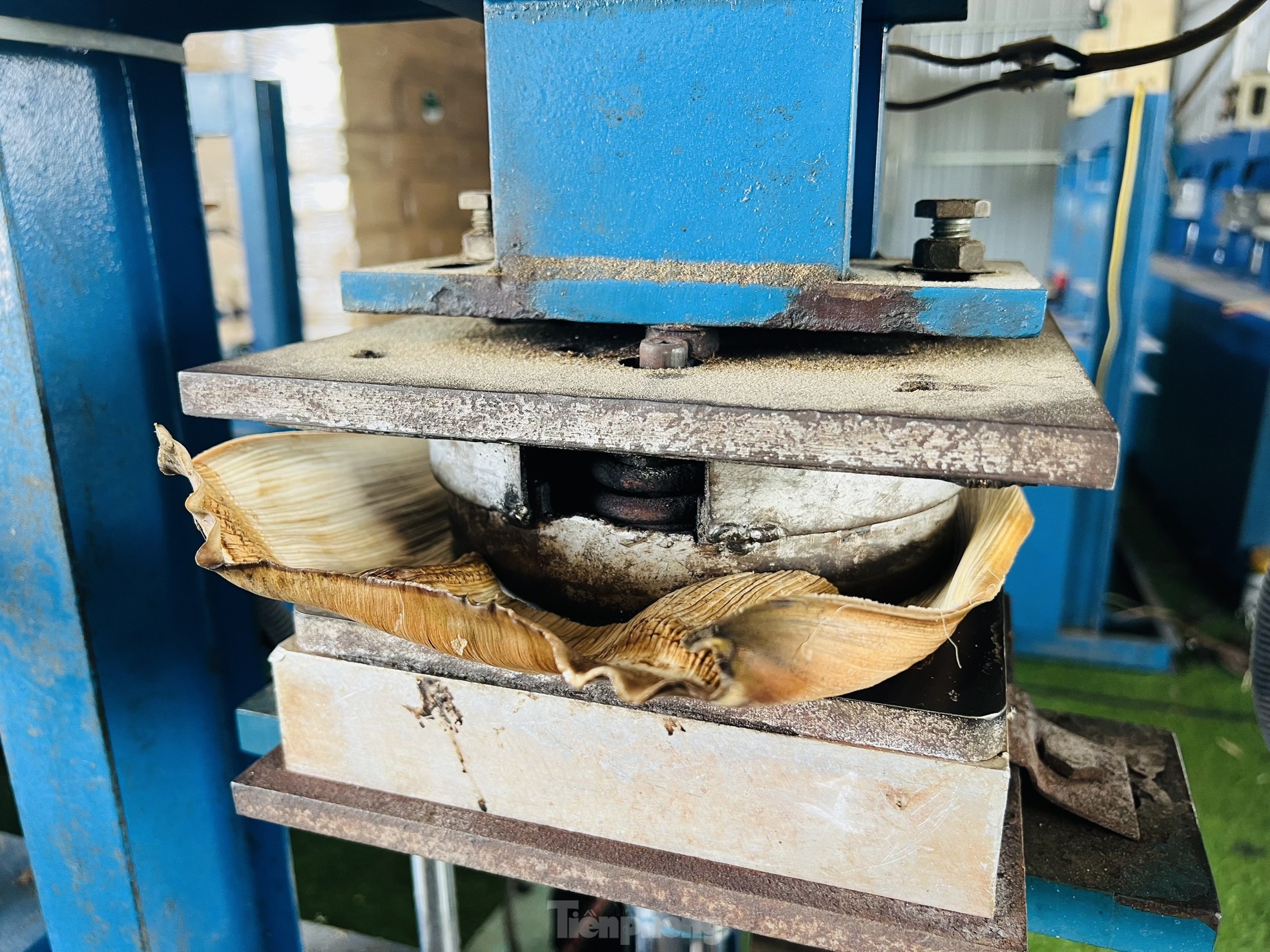 Biến phế phẩm mo cau thành hàng xuất khẩu - Ảnh 9