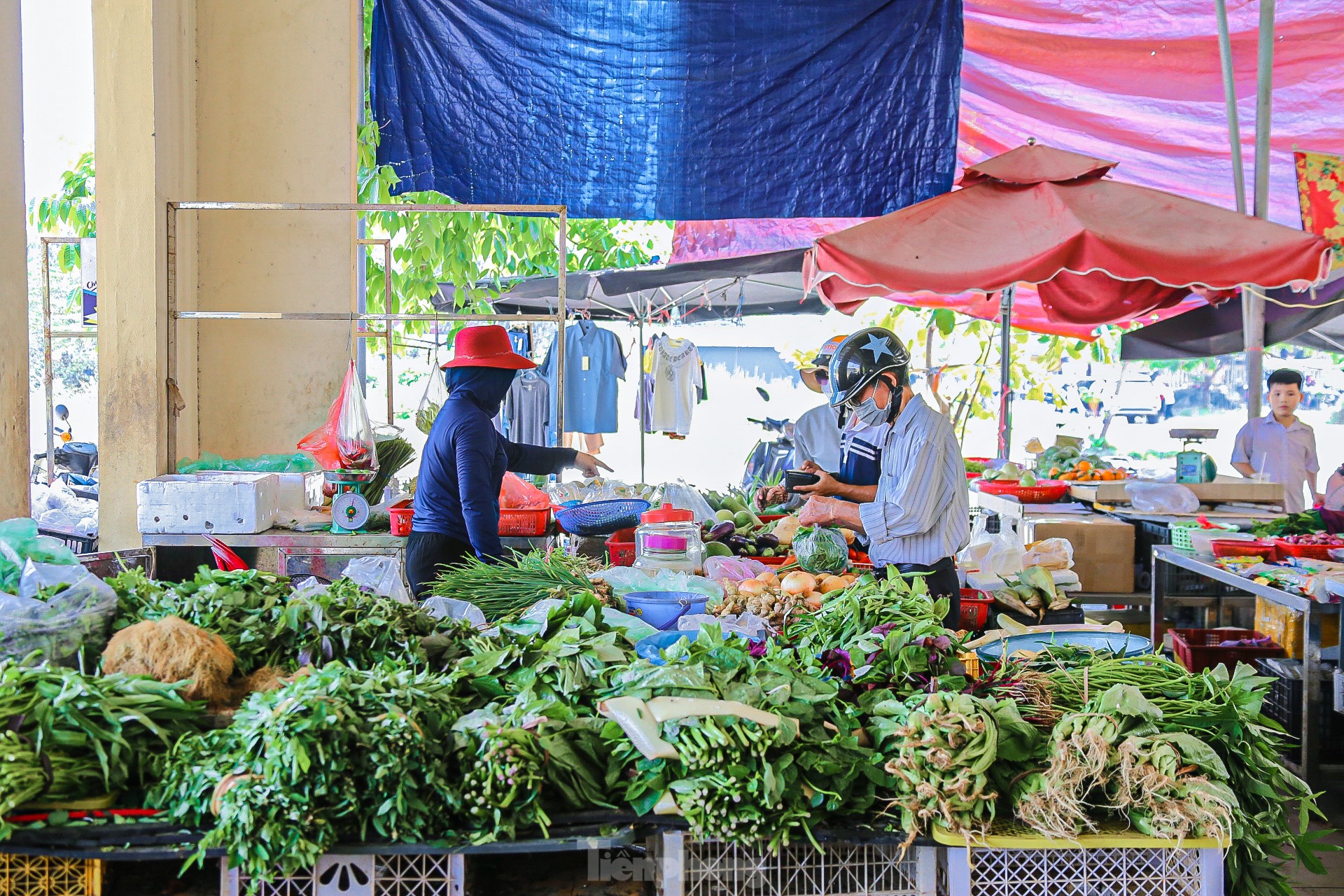 Tiểu thương đồng loạt rời bỏ khu chợ sầm uất ở Đà Nẵng - Ảnh 8