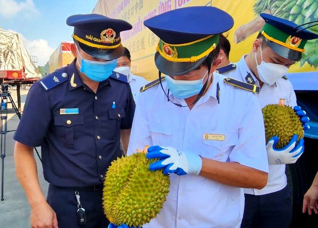 Nông sản Việt ùn ùn qua cửa khẩu Lạng Sơn xuất Trung Quốc - Ảnh 2