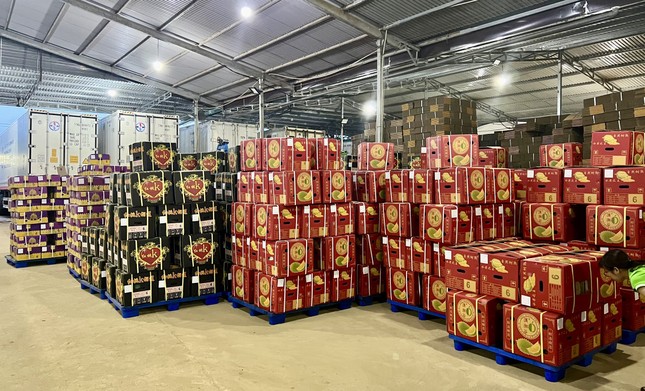 Thủ phủ sầu riêng Đắk Lắk kiến nghị gì sau vụ 30 lô hàng bị nhiễm cadimi? - Ảnh 2