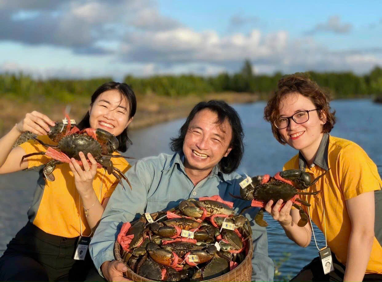 Bất ngờ với giá cua biển Cà Mau dịp lễ 30-4 và 1-5 - Ảnh 1