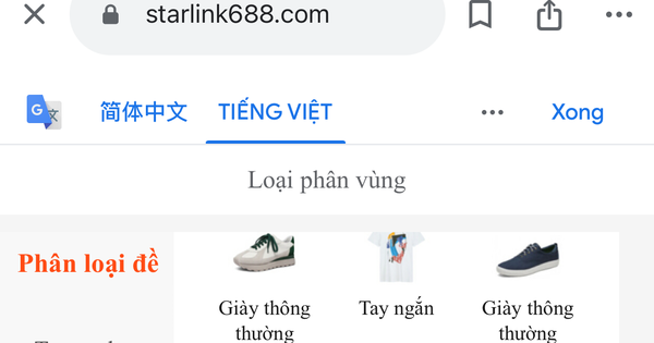 Cẩn trọng khi nhập thông tin cá nhân trên sàn thương mại điện tử Starlink