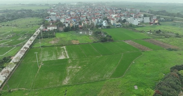 Luật Đất đai 2024: Quy định mới về đất nông nghiệp mang lại quyền lợi cho nông dân?