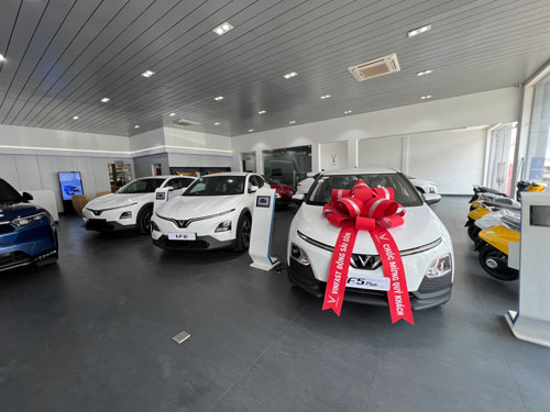 Xe điện ngoại "nhòm ngó" thị trường Việt Nam - Ảnh 1