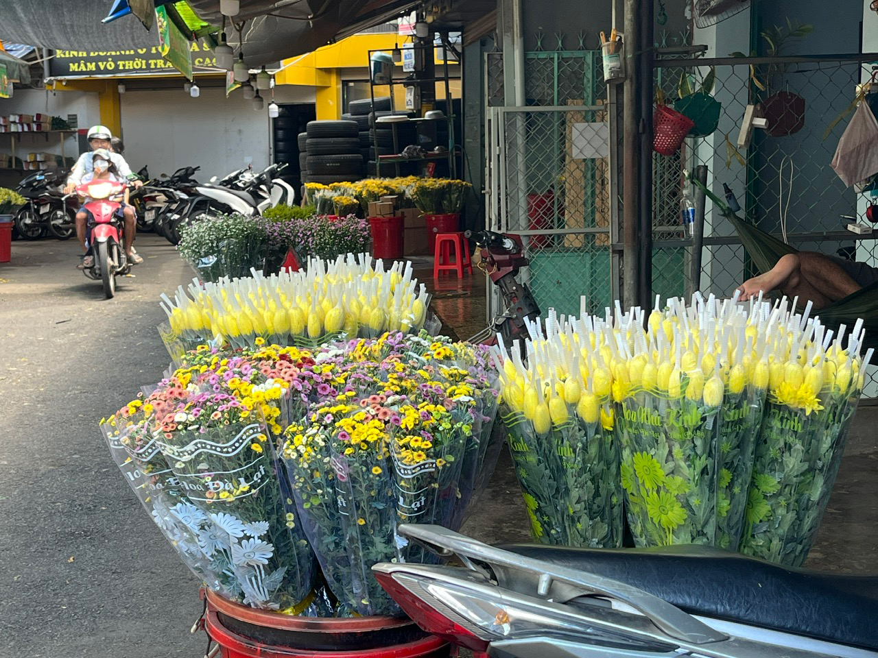 Giá hoa cúc tăng cao - Ảnh 1