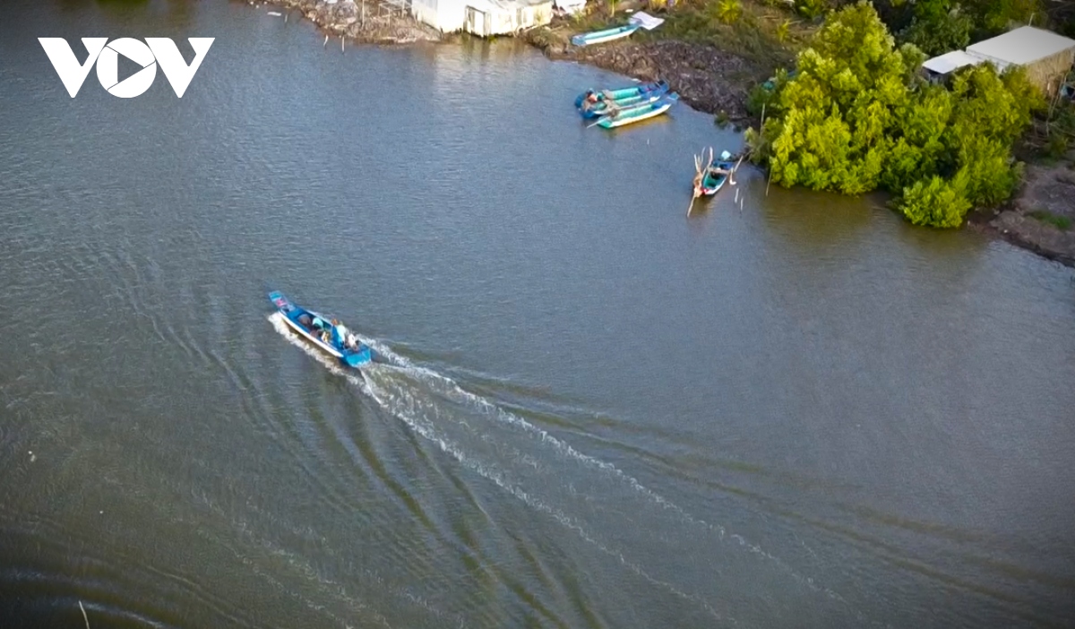Giăng câu không cần mồi, bắt đủ thứ tôm cá ở Cà Mau - Ảnh 1