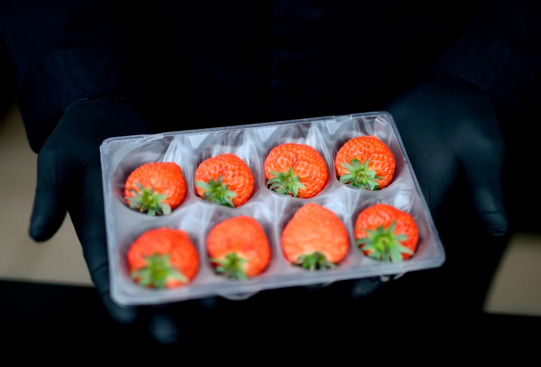 Trào lưu hoa quả thượng lưu siêu đắt đỏ xuất hiện tại Mỹ - Ảnh 4