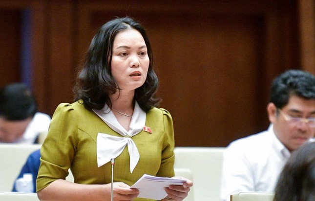 Vé máy bay nội địa tăng trong khung giá: Điều đó không sai, nhưng... - Ảnh 1