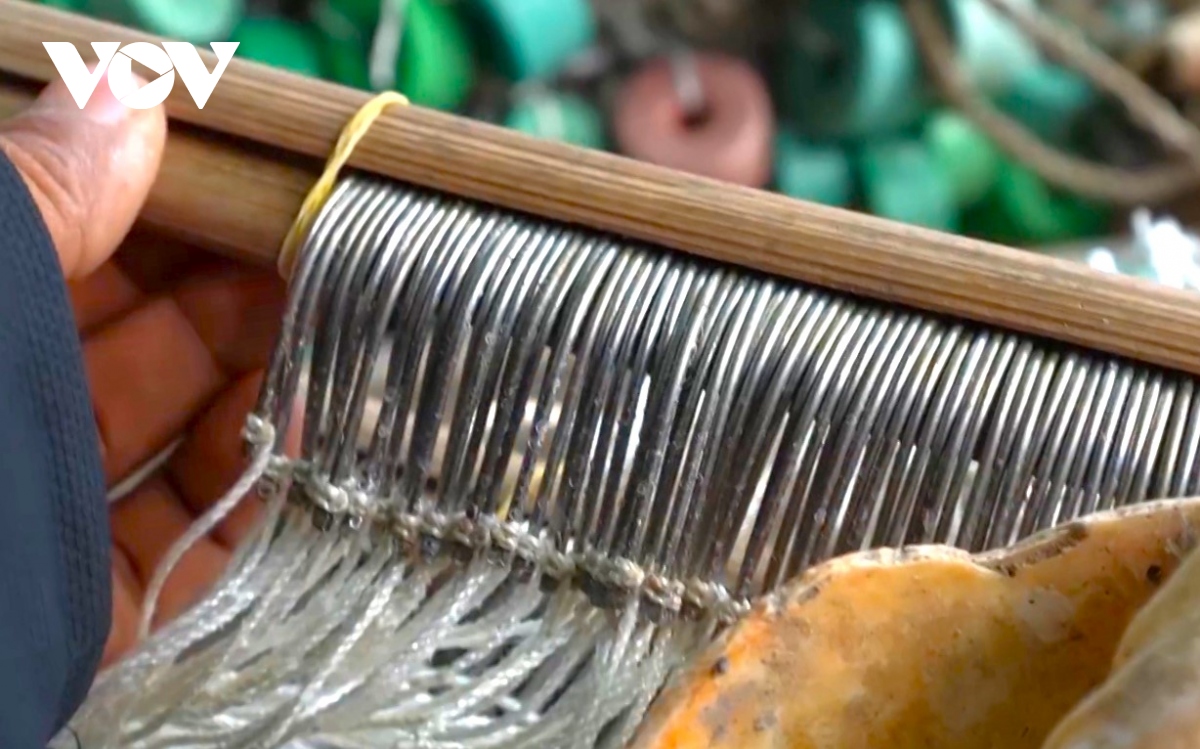 Giăng câu không cần mồi, bắt đủ thứ tôm cá ở Cà Mau - Ảnh 2