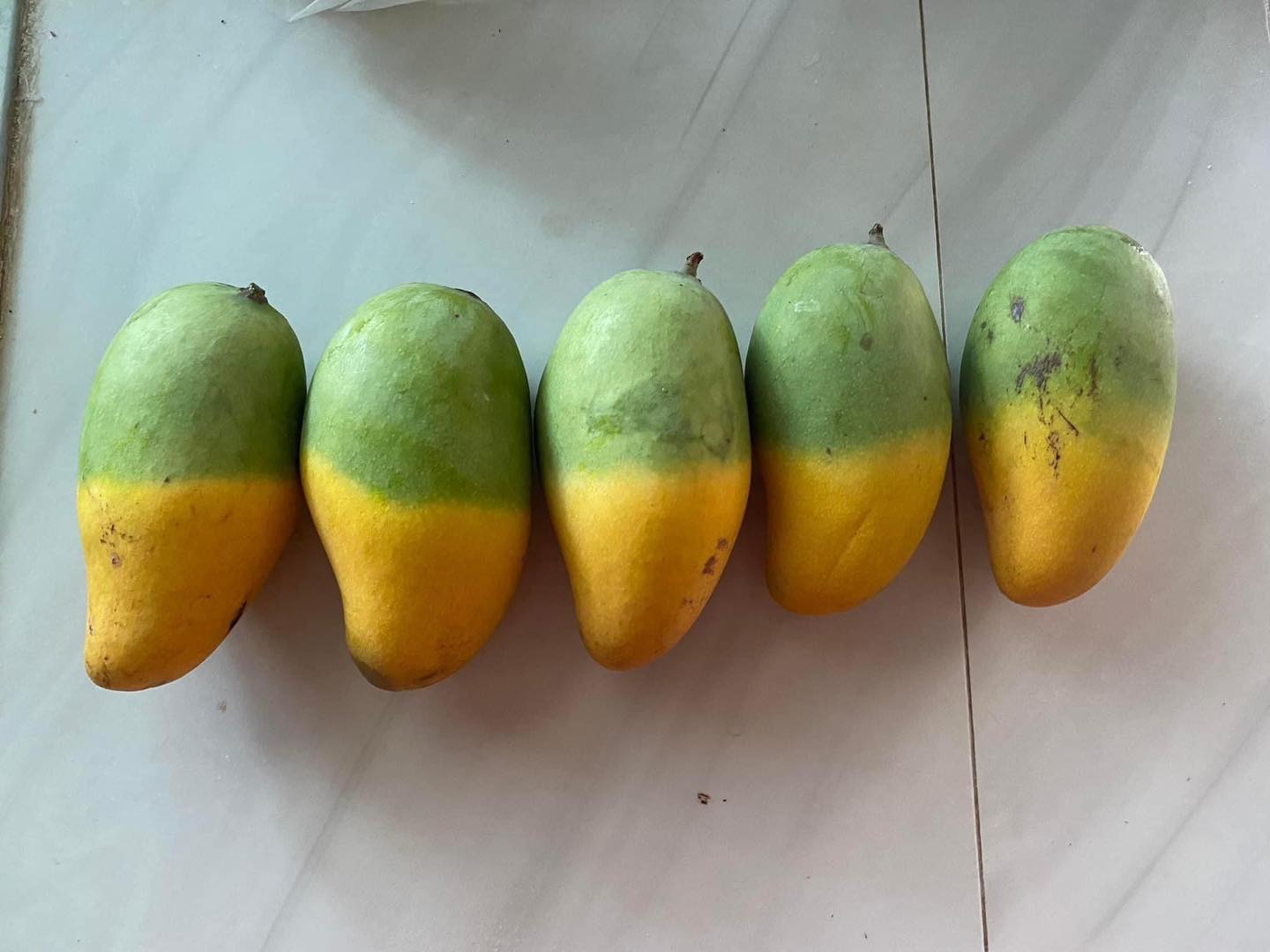 Cây xoài "độc lạ" nhất MXH: Nửa quả vàng ươm, nửa quả vẫn còn "xanh ngắt" - Ảnh 4