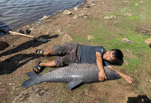 Câu được cá trắm đen 'khủng' hơn 36kg ở hồ nước đẹp nhất Buôn Ma Thuột - Ảnh 3