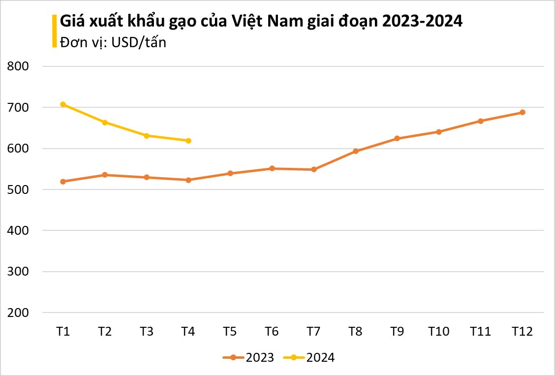Ấn Độ cấm xuất khẩu, "hạt ngọc quý" của Việt Nam thành mặt hàng hot được nhiều nước săn đón - một quốc gia ở Đông Nam Á mạnh tay chi gần 1 tỷ USD nhập khẩu - Ảnh 2