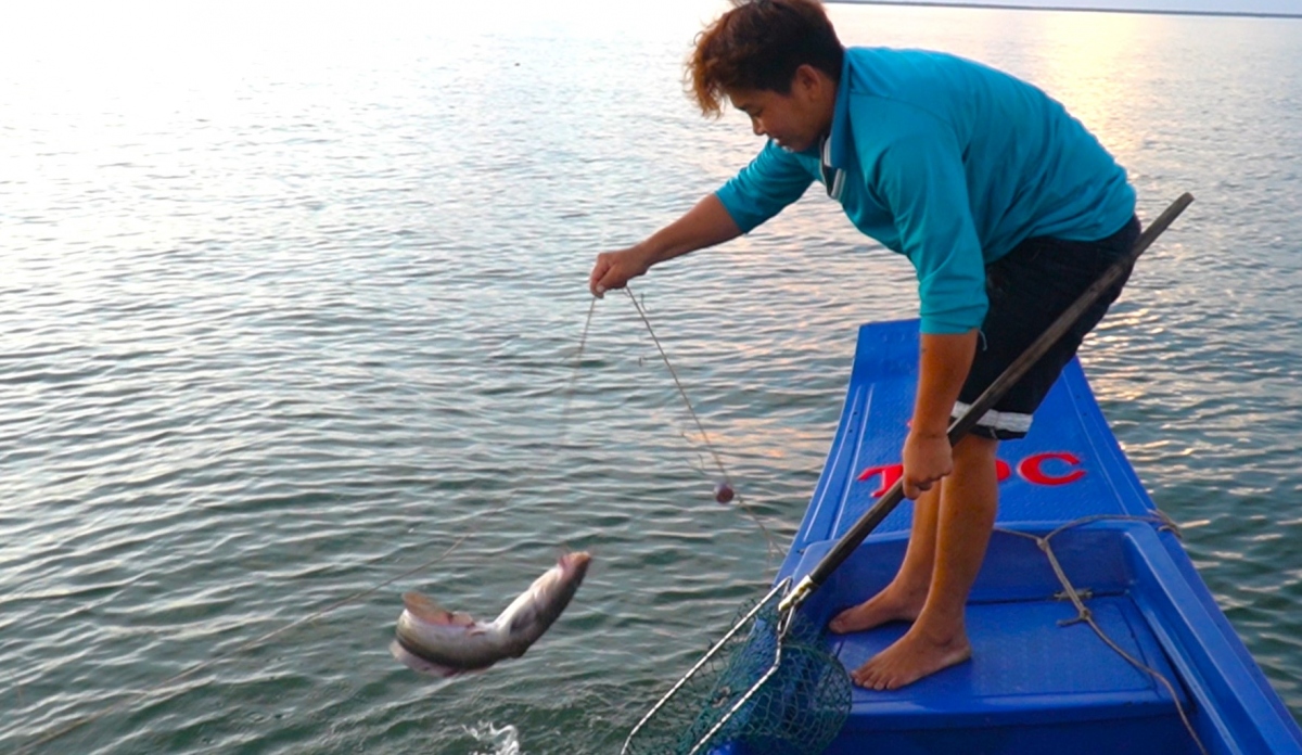 Giăng câu không cần mồi, bắt đủ thứ tôm cá ở Cà Mau - Ảnh 5