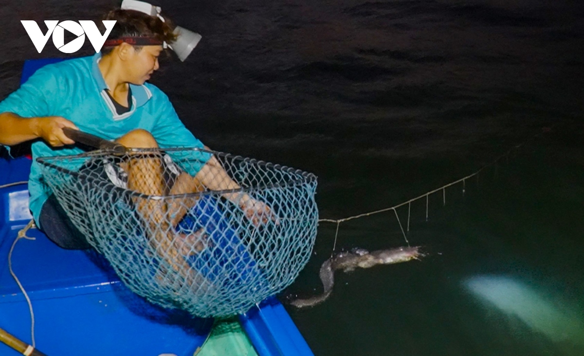 Giăng câu không cần mồi, bắt đủ thứ tôm cá ở Cà Mau - Ảnh 9