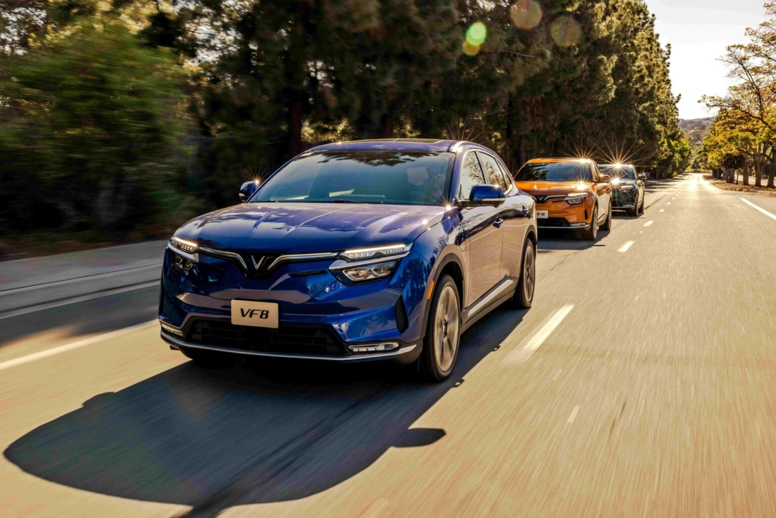 Thị trường xe điện Việt còn nhiều tiềm năng chưa khai phá, VinFast được dự đoán sẽ sớm trở thành nhà xuất khẩu hàng đầu khu vực ASEAN - Ảnh 5