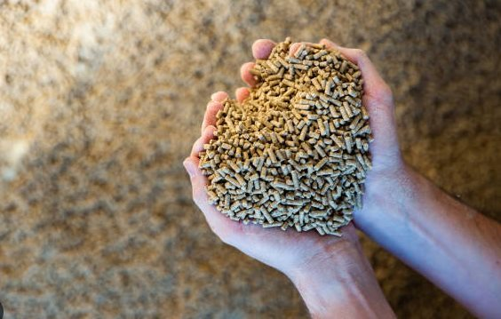 2 cường quốc của thế giới đều “tranh giành” mặt hàng này của Việt Nam: Trung Quốc có bao nhiêu mua bấy nhiêu, thu về hơn 300 triệu USD trong 4 tháng - Ảnh 1